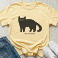 Why I'm Broke T-shirt